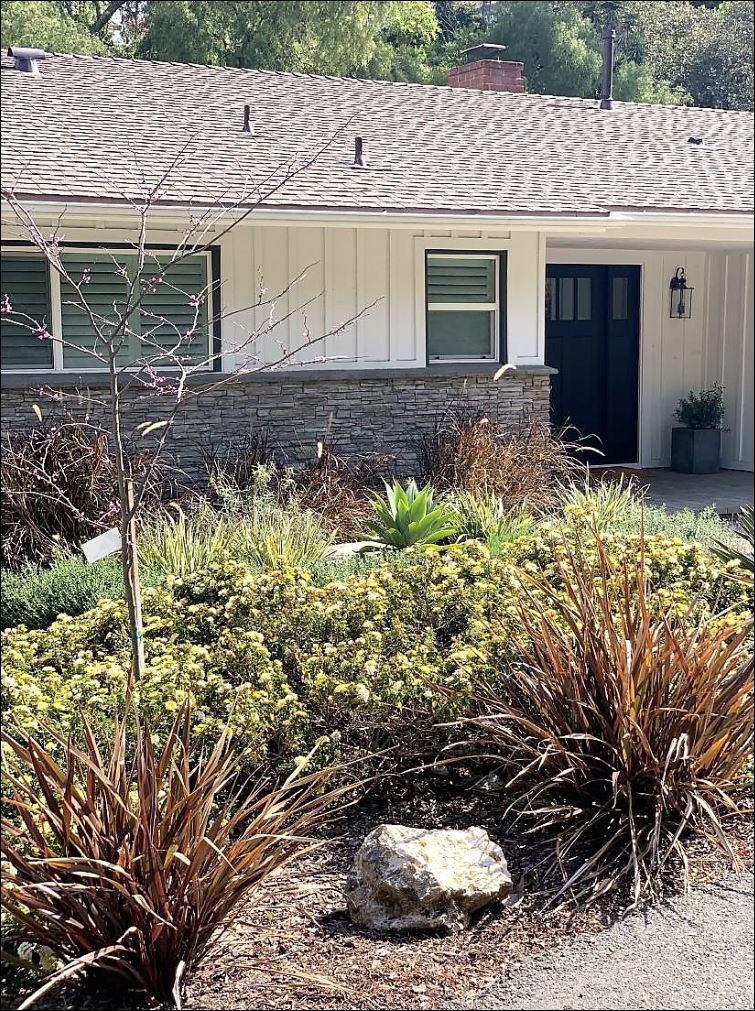 mid-century ranch house exterior home remodel and improvements drought-tolerant plants landscape pavers stone pea gravel black craftsman entry door privacy gate board and batten black and white