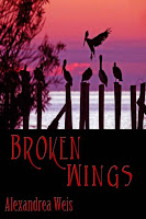 brokwn wings cover