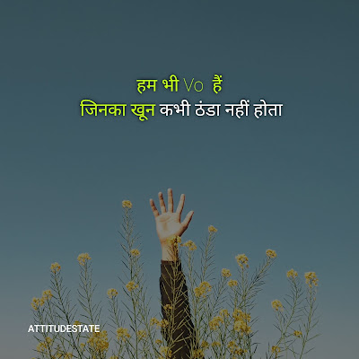 brother shayari attitude