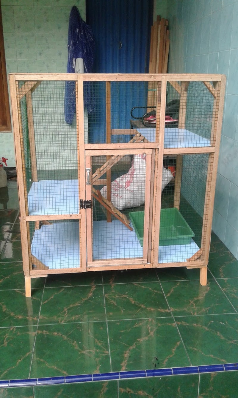 Istimewa Kandang Kucing Kayu