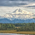 Denali National Park And Preserve - Denali National Forest