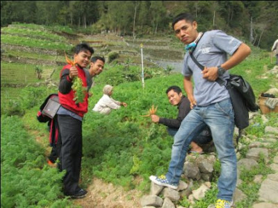 FOTO PERJALANAN KE GUNUNG