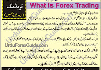 Forex Trading Books In Urdu Pdf Free Download