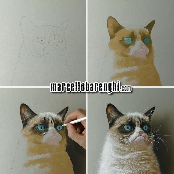 Grumpy Cat 3D  Drawing  Marcello Barenghi