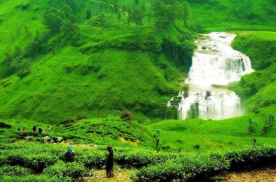 relaks minda kehijauan alam