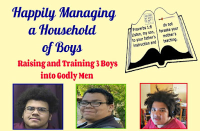 Happily Managing a Household of Boys