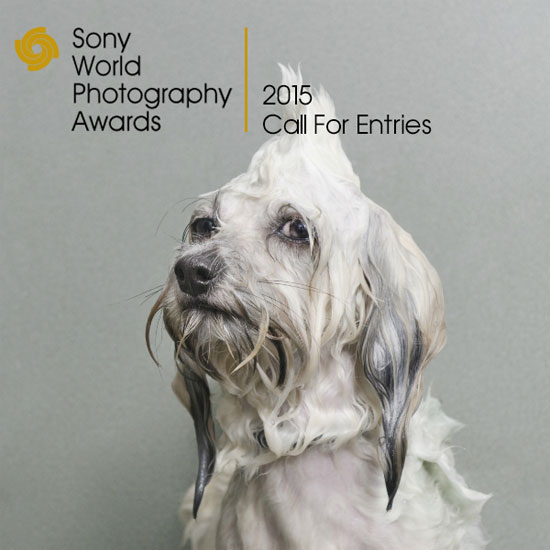 Sony Buka Kontes Sony World Photography 2015