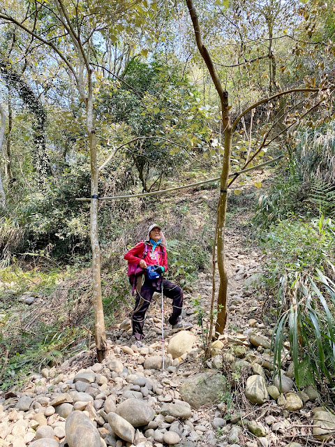 回抵乾溪谷登山口