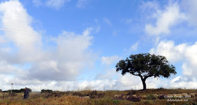 badajoz-valencia-de-alcantara