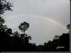IMG_13202 copy