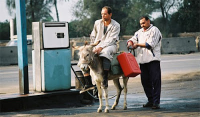 Funny Donkey Filling Petrol