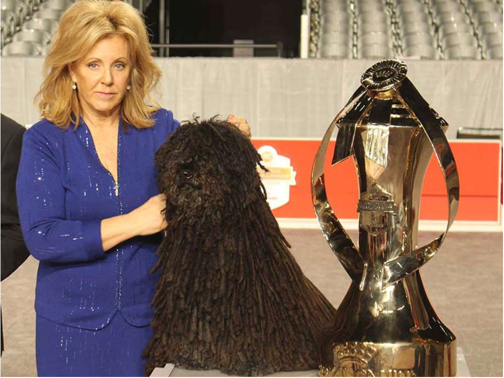 AKC National Championship 2016 Winner: Preston the Puli