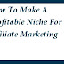 How To Make A Profitable Niche For Affiliate Marketing ?