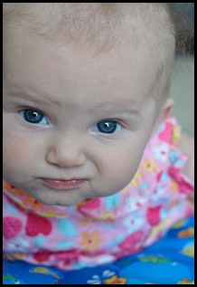 bella blue eyes