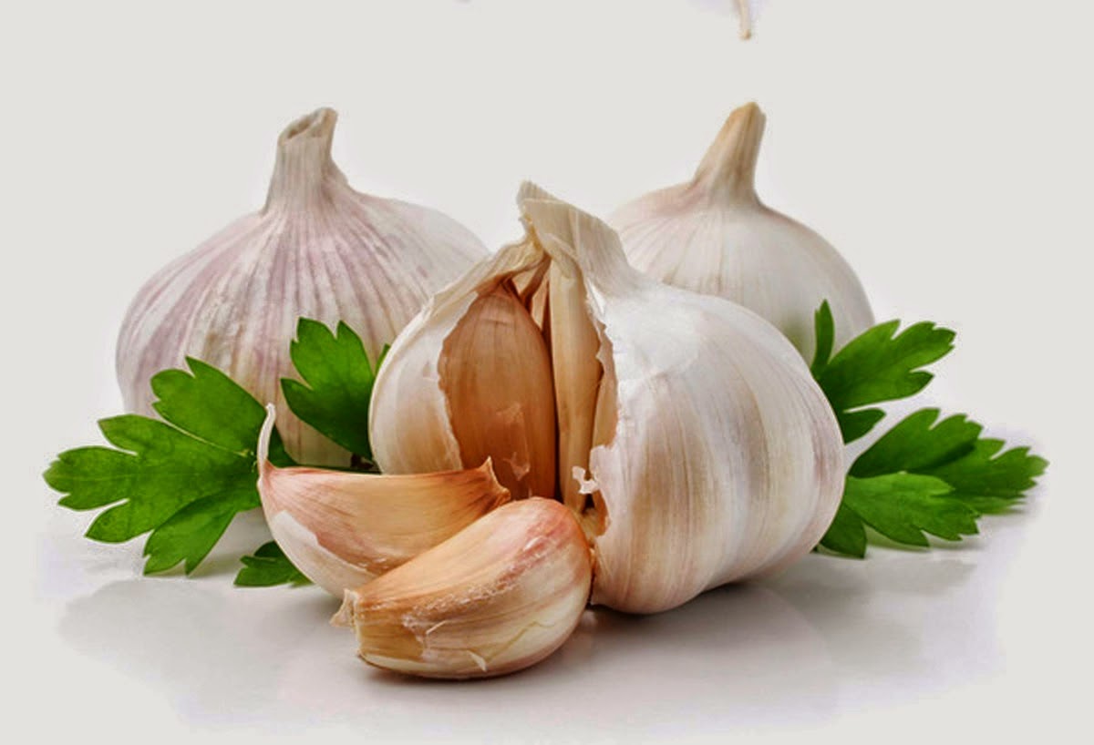 HARGA PREMIUM BEAUTIFUL KORSET PALING MURAH 2017 : GARLIC 