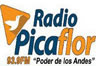 Radio Picaflor