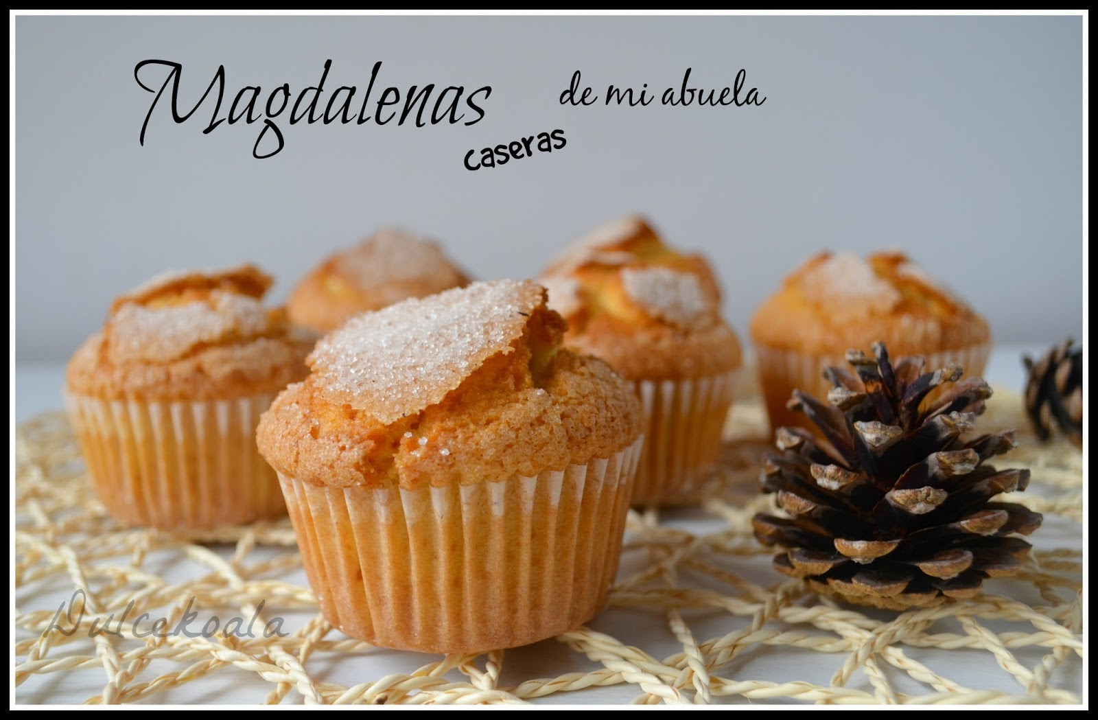 http://dulcekoala.blogspot.com.es/2015/01/magdalenas-caseras-de-mi-abuela.html