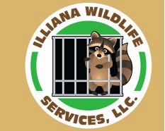 http://illianawildlifeservices.com/