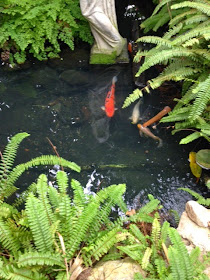 centennial park greenhouse toronto