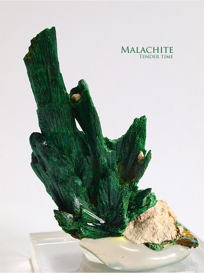 マラカイト 孔雀石 Malachite Kerouchen Middle Atlas Mts,Morocco