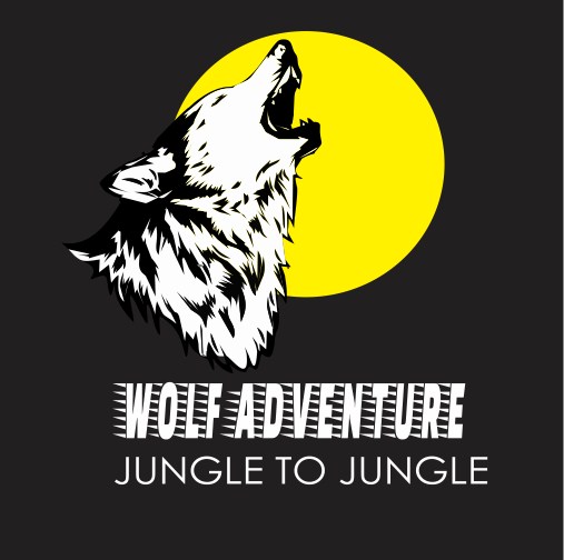 illustrator design a logo wolf