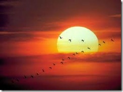por do sol por do sol