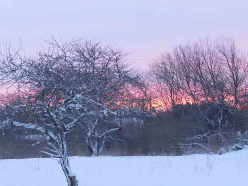 pink sunrise