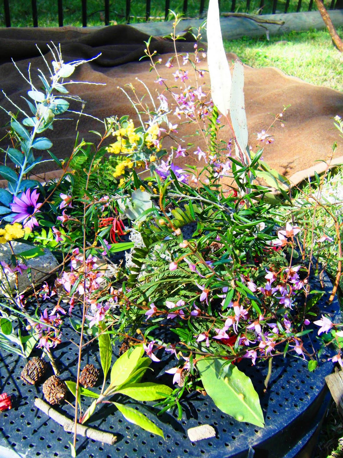 let the children play: fairy gardens and fairy shelters