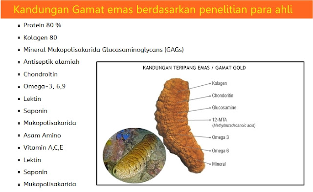 Cara Membersihkan Paru-paru secara Alami