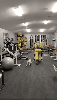 Lindo cachorro de estación de bomberos “observa” a los bomberos hacer ejercicio en el gimnasio