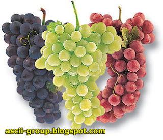 العــنب Grapes تركيبة الكيميائى وفوائدة الصحية والعلاجية