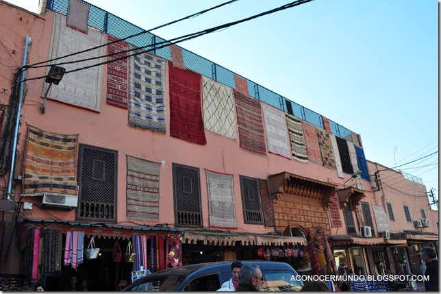 Zocos zona sur-DSC_0062