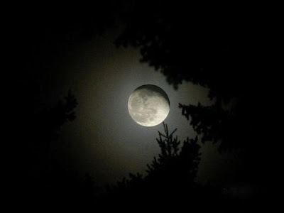 Beautiful Moon Pictures