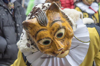 People marching in a Kattenstoet parade. This person is dressed as a cat.