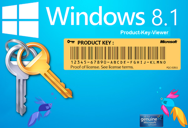 Perfect Networks Find Your Windows 8 8 1 Product Key For Laptop
