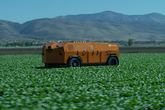 Autonomous Vegetable Weeding Robots Market