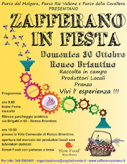 Zafferano in Festa 30 ottobre Ronco Briantino (MB)