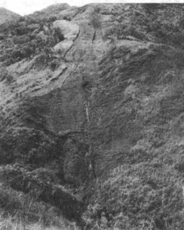 clip_image007[1]