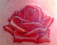 Rosa vermelha