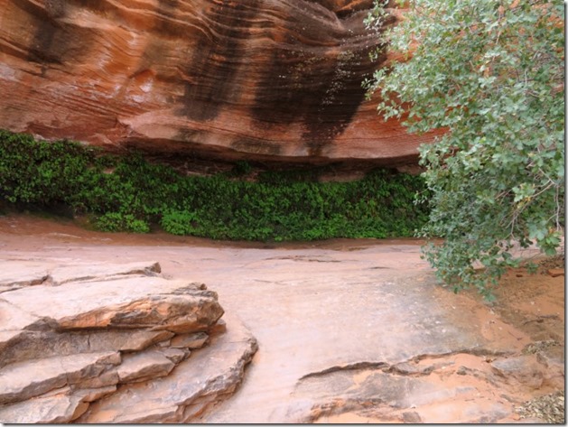 Hanging Gardens walk 9