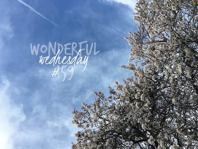 Wonderful Wednesday #159