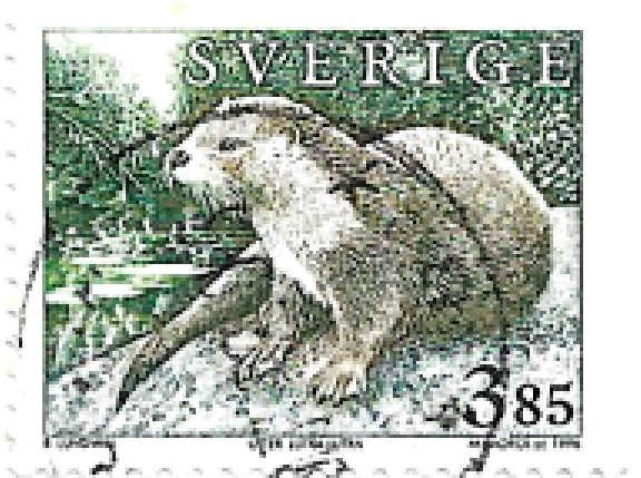 Lontra no selo da Suécia