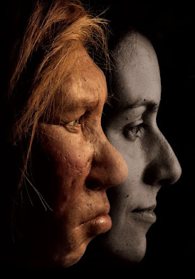 Comparison of the facial profiles of a Neanderthal woman and modern woman.