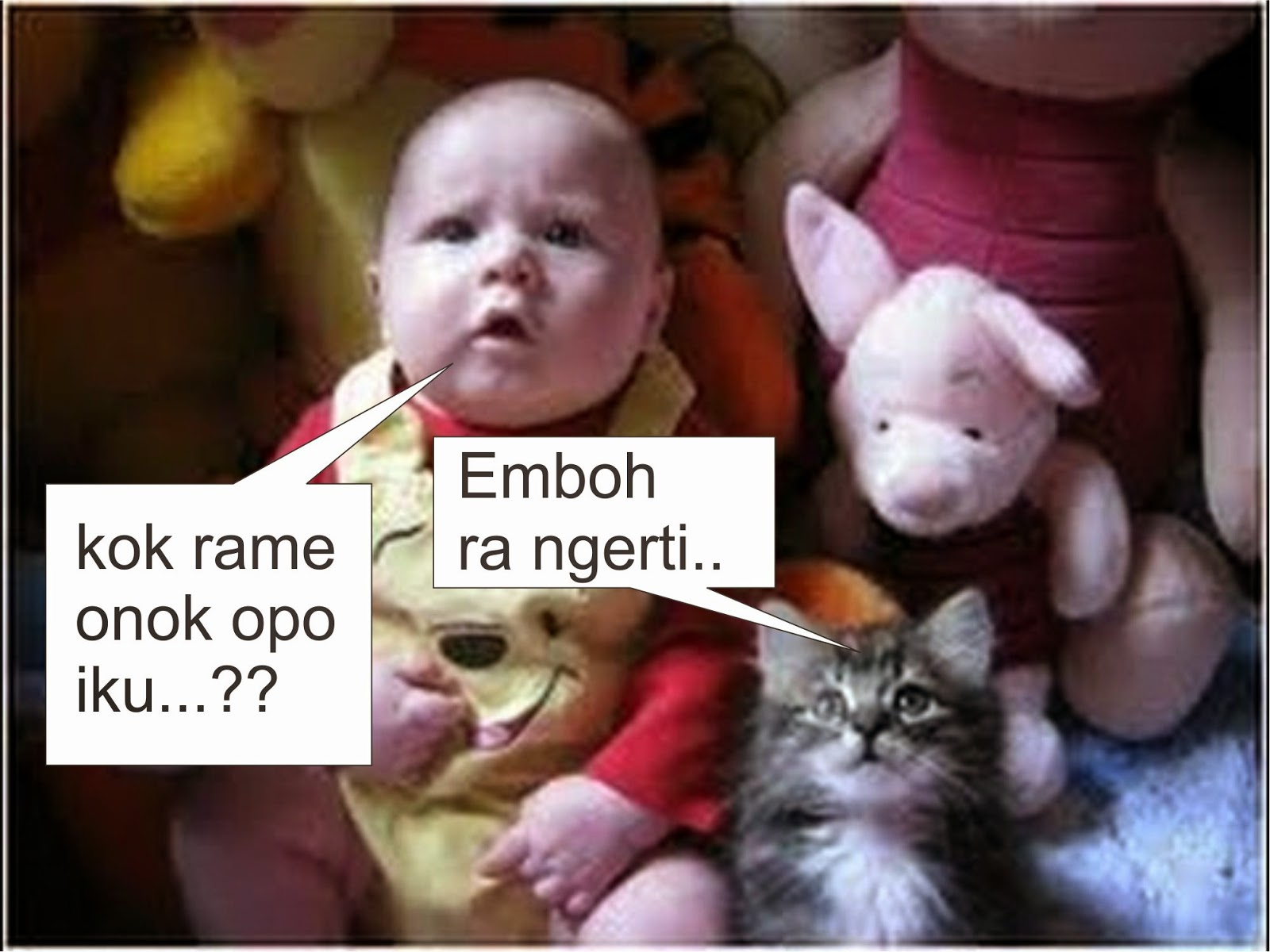 Gambar Lucu Jawa