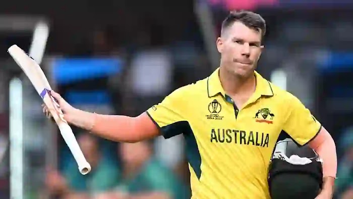 David Warner is not in the T20 series against India