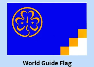 World-guide-flag