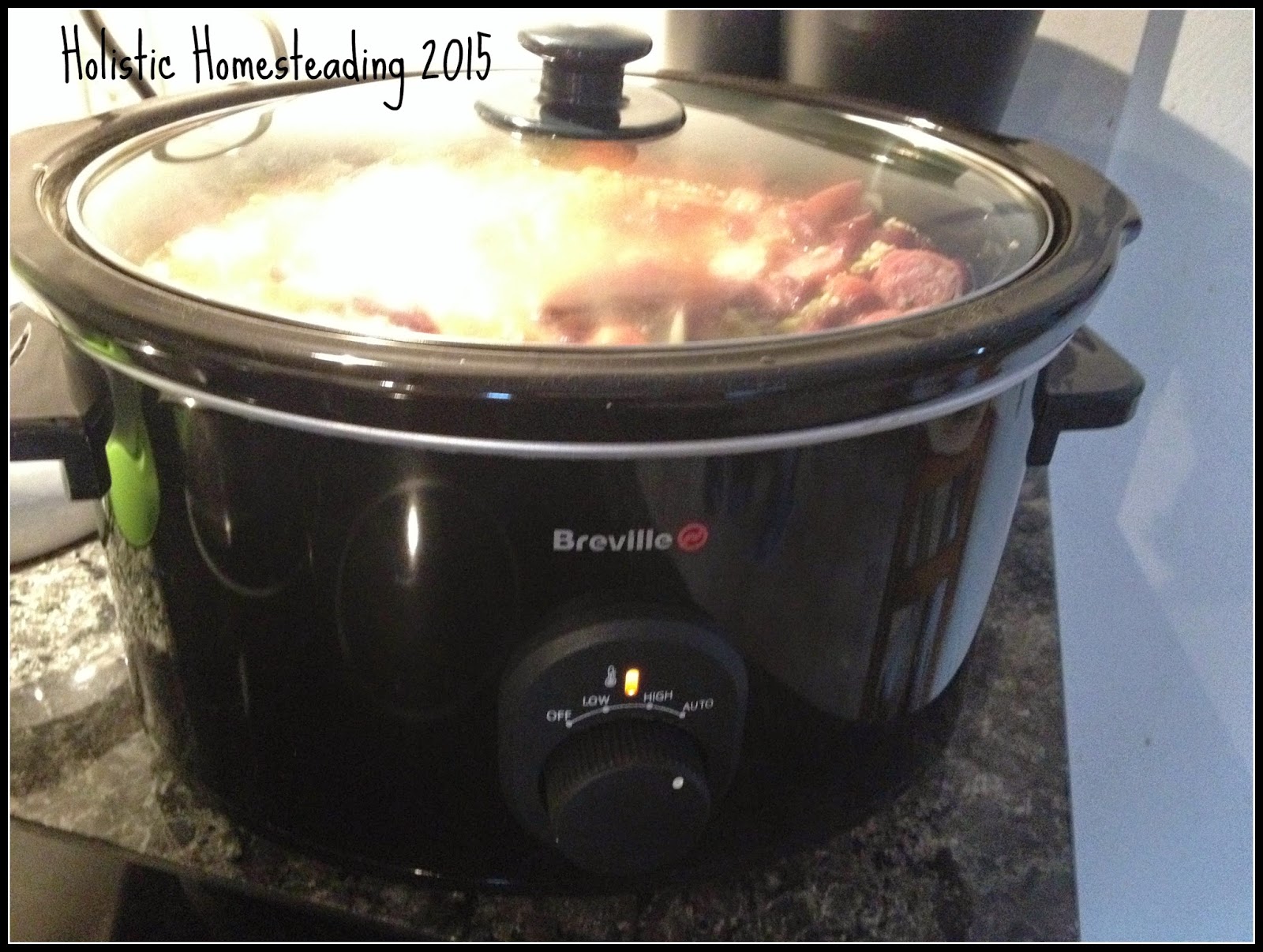 Breville Crockpot