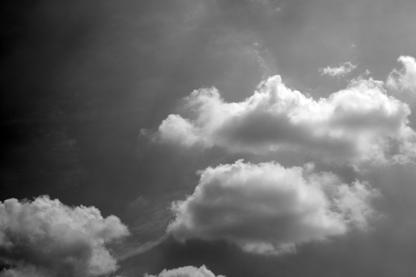 Black & White 088