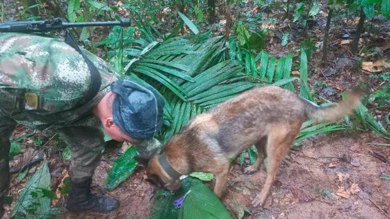 Autoridades colombianas afirman que los cuatro niños perdidos en la selva "están vivos"