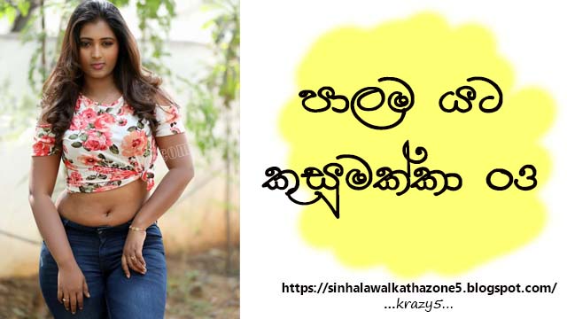 Palama Yata Kusumakkaa | පාළම යට කුසුමා අක්කා 03